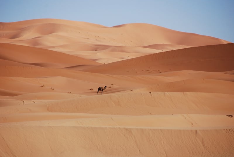 Morocco Cultural Tour